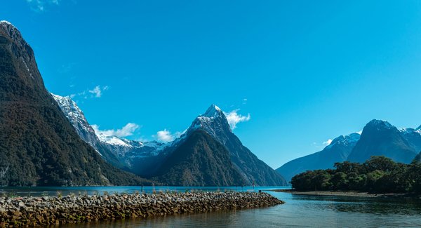 Milford sound : à la découverte d'un fjord enchanteur